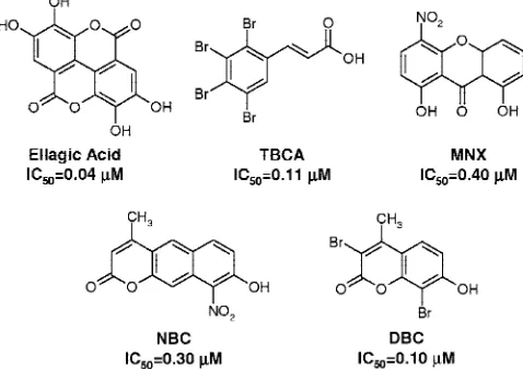 Figure 1. Chemical structures of known CK2 inhibitors.