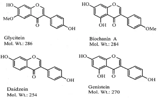 Gambar 4. Macam – macam struktur isoflavon dalam kedelai (Wu, 1999) 