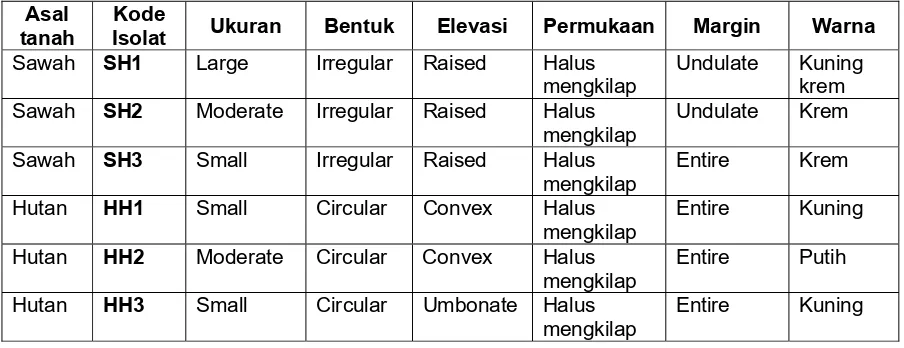 Tabel 1. Karakter morfologi mikrob pada konsentrasi herbisida dan pestisida 