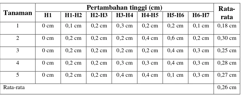Tabel 1 Pertambahan tinggi tanaman tomat  