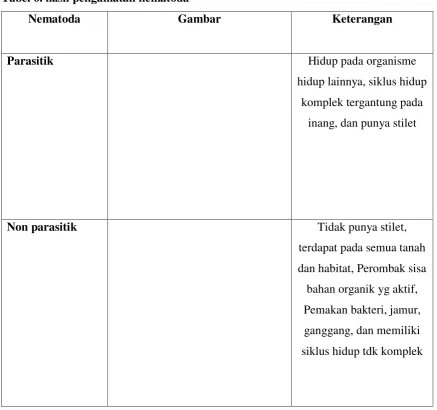 Tabel 6. hasil pengamatan nematoda  