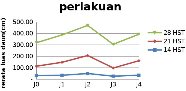 Gambar 2. Dinamika luas daun tanaman jagung 