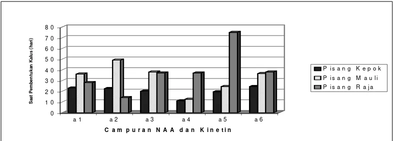 Gambar 2.  Pengaruh campuran NAA dan kinetin terhadap kontamiansi pada kultivar pisang 