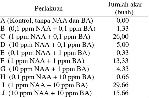 Tabel 3. Respon eksplan daun tanaman jeruk manis (Citrus sinensis L.) secara in vitro akibat pemberiaan NAA dan BA terhadap jumlah akar 