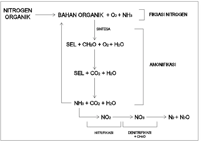 Gambar 2.1 : Siklus nitrogen dalam proses oksidasi biologis (Eckenfelder, 1989) 