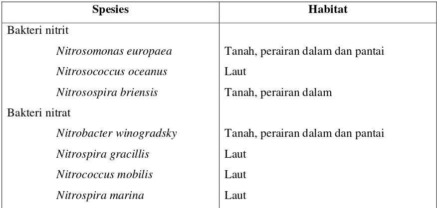 Tabel 2.4 : Spesies bakteri nitrifikasi dan habitatnya 