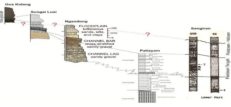 Gambar 7. Korelasi Kronologis Relatif Situs Gua Kidang dengan Situs-situs Pleistosen 