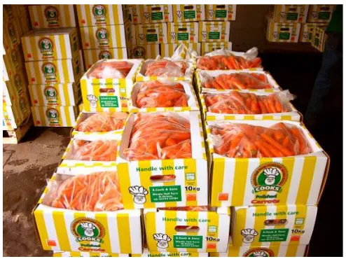 Gambar 7 Pengemasan ke dalam plastik dan box
