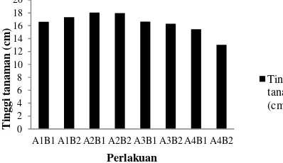 Tabel 3.4. Hasil uji BNJ 5% rerata tinggi tanaman caisim. 