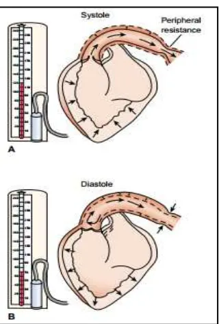Gambar 2.4. A) Tekanan darah sistolik menunjukkan darah diejeksikan ke aorta, merefleksikan SV, distensibilitas aorta, dan kecepatan darah yang dipompa