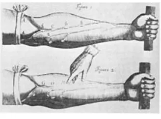 Gambar pembuluh vena dari Exercitatio anatomica de motu cordis et sanguinis in animalibus karya Harvey (“Suatu Praktik Anatomi mengenai Pergerakan Jantung dan Darah pada Makhluk Hidup”)