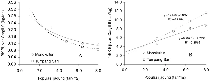 Gambar 3.  Respon hasil biji (A) dan kurva regresi linear kebalikan bobot  biji (B) jagung Arjuna terhadap populasi pada pola tanam  