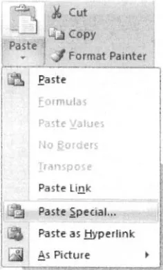 Figure 1-21. The Paste menu, showing the Paste Special... command. 