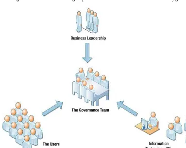 Figure 2-5. The governance team 