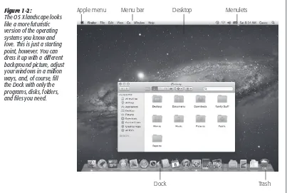 Figure 1-2:The OS X landscape looks 