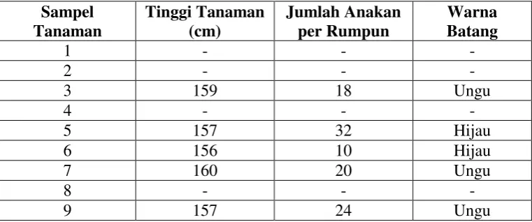 Tabel 4. Barisan Keempat 