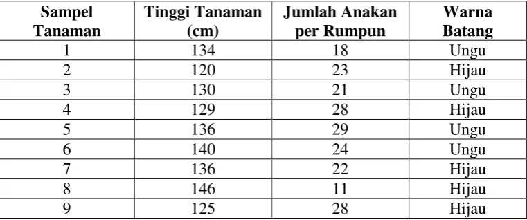 Tabel 8. Barisan Kedelapan 