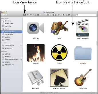 Figure 3-7Using Icon view has a number of advantages: