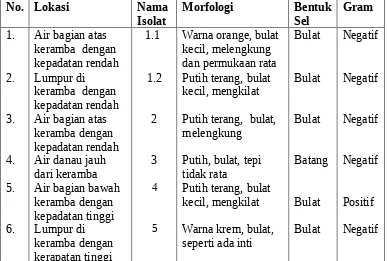 Tabel 2.  Lokasi Sampel, Jumlah bakteri yang diisolasi pada tiap lokasi danbentuk Morfologi.