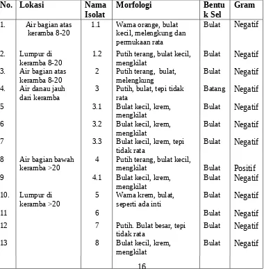 Tabel 2. Karakteristik Morfologi Koloni Masing-masing Isolat 