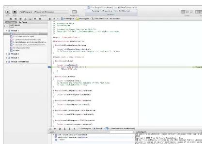 FIGURE 2-14: The default debugging environment