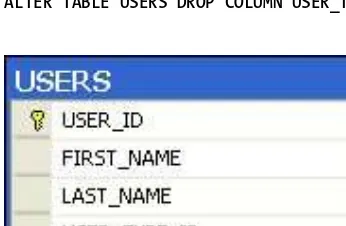 Figure 11-3. The USER_TYPES table created by Listing 11-5 