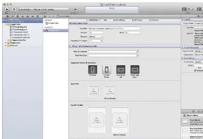 Figure 1–7. The initial Xcode view showing our new skeleton application 