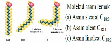 Gambar 2.3 Molekul Asam Lemak Penyusun Trigliserida Minyak