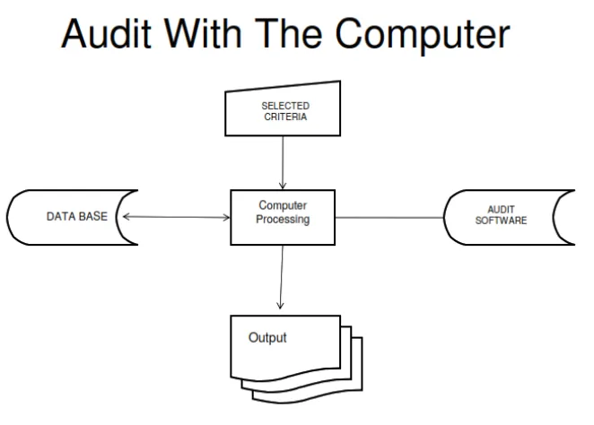 Gambar 2.2. Audit with The Computer 