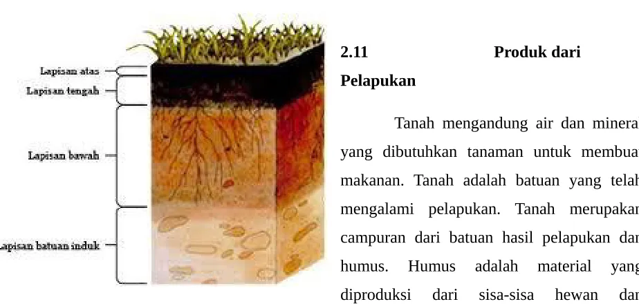 Gambar Lapisan Tanah: