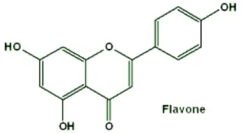 Gambar 2. Rumus bangun flavonoid 