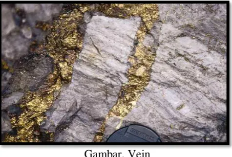 Gambar. Vein 