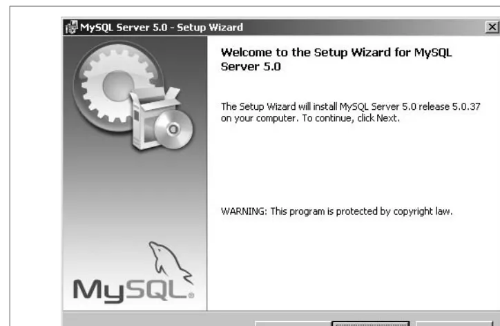 Figure 2-17. The MySQL Setup Wizard