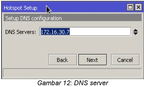 Gambar 13: DNS local name