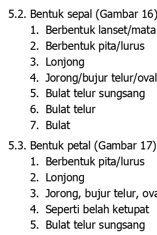 Gambar 16.  Bentul sepal dorsal dan lateral 