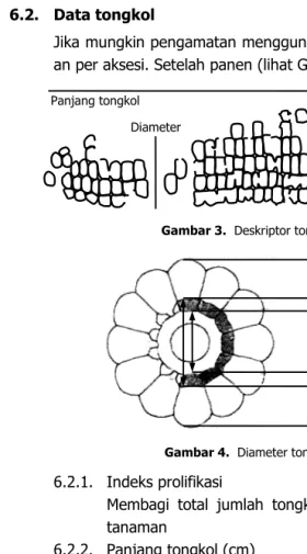 Gambar 3.  Deskriptor tongkol 