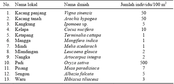 Tabel 8. Jenis-jenis tanaman yang ditemukan di daerah pantai Kecamatan Adipala, Kabupaten Cilacap