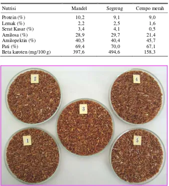 Tabel 1. Nilai nutrisi varietas padi beras merah Mandel, Segreng, dan Cempo Merah. 