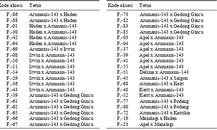 Tabel 1. Hibrid (25 aksesi F1) hasil persilangan mangga Arumanis-143 dengan klon Cukurgondang yang ditanam pada tahun 2007 di KP Cukurgondang