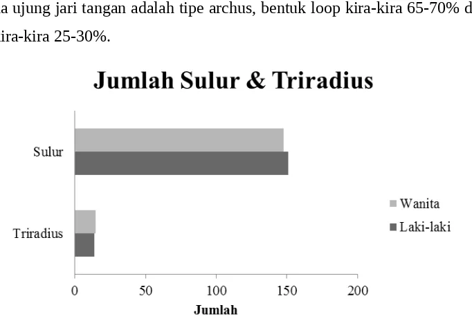 Gambar 5. Grafik Jumlah Sulur dan Triradius Wanita dan Laki-laki