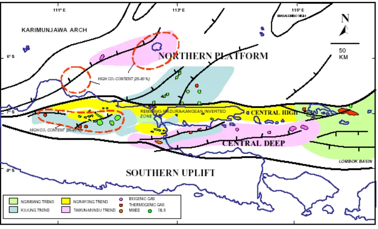 Gambar 2. Tiga provinsi struktur utama Cekungan Jawa Timur. Northern Paltform, Central High, dan Southern Basin  (Satyana dan Purwaningsih, 2003)