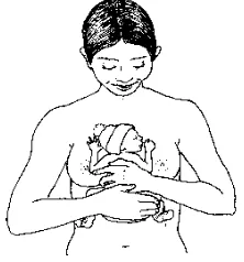 Gambar 2. Memposisikan bayi untuk PMK1