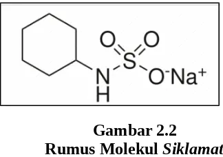 Rumus Molekul Gambar 2.2Siklamat