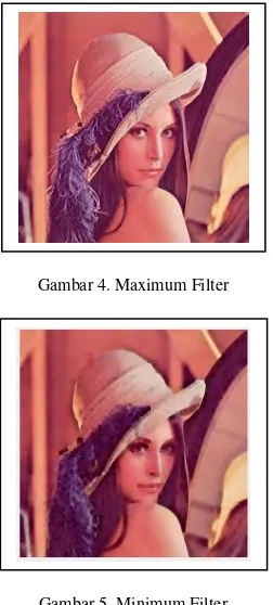 Gambar 4. Maximum Filter 