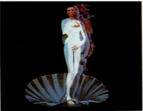Gambar 1. Ulrike Rosenbach, Reflections on the Birth of Venus1976-78, 15:00 min, color, mono