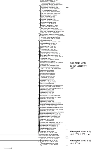 Gambar 1.  Pohon filogenetik berdasarkan gen hemaglutinin (HA) virus avian influenza di Indonesiatahun 2003-2008 (Dharmayanti 2009).
