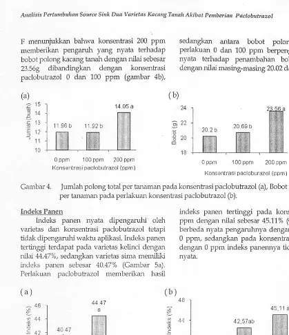 Gambar 4. Jumlah polong total per tanaman pada konsenb'asi paclobutrazol (a), Bobot polong total 