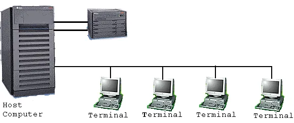 Gambar 2. Jaringan kompiuter model distributed processing. 