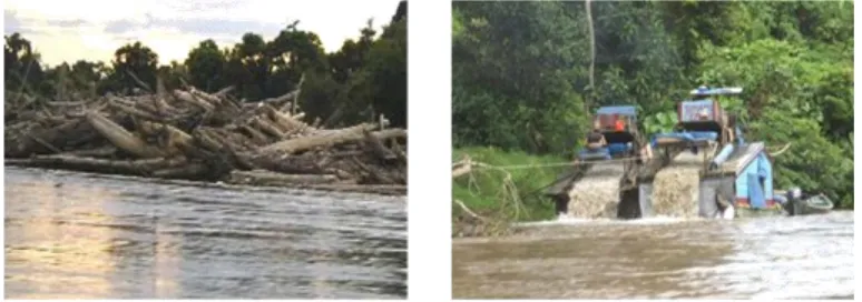 Gambar. Penumpukan sampah kayu di tepi sungai menyebabkan tidakstabilnya debit sungai (kiri)