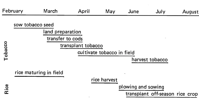 SCHEDULE OFFIGURE 1 RICE AND TOBACCO CULTIVATION